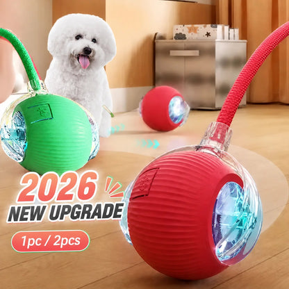 Pelota Inteligente Mascota Con Cuerda