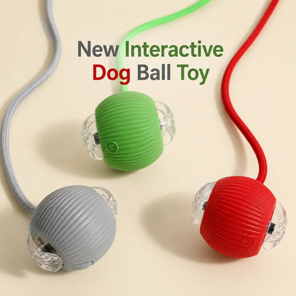 Pelota Inteligente Mascota Con Cuerda